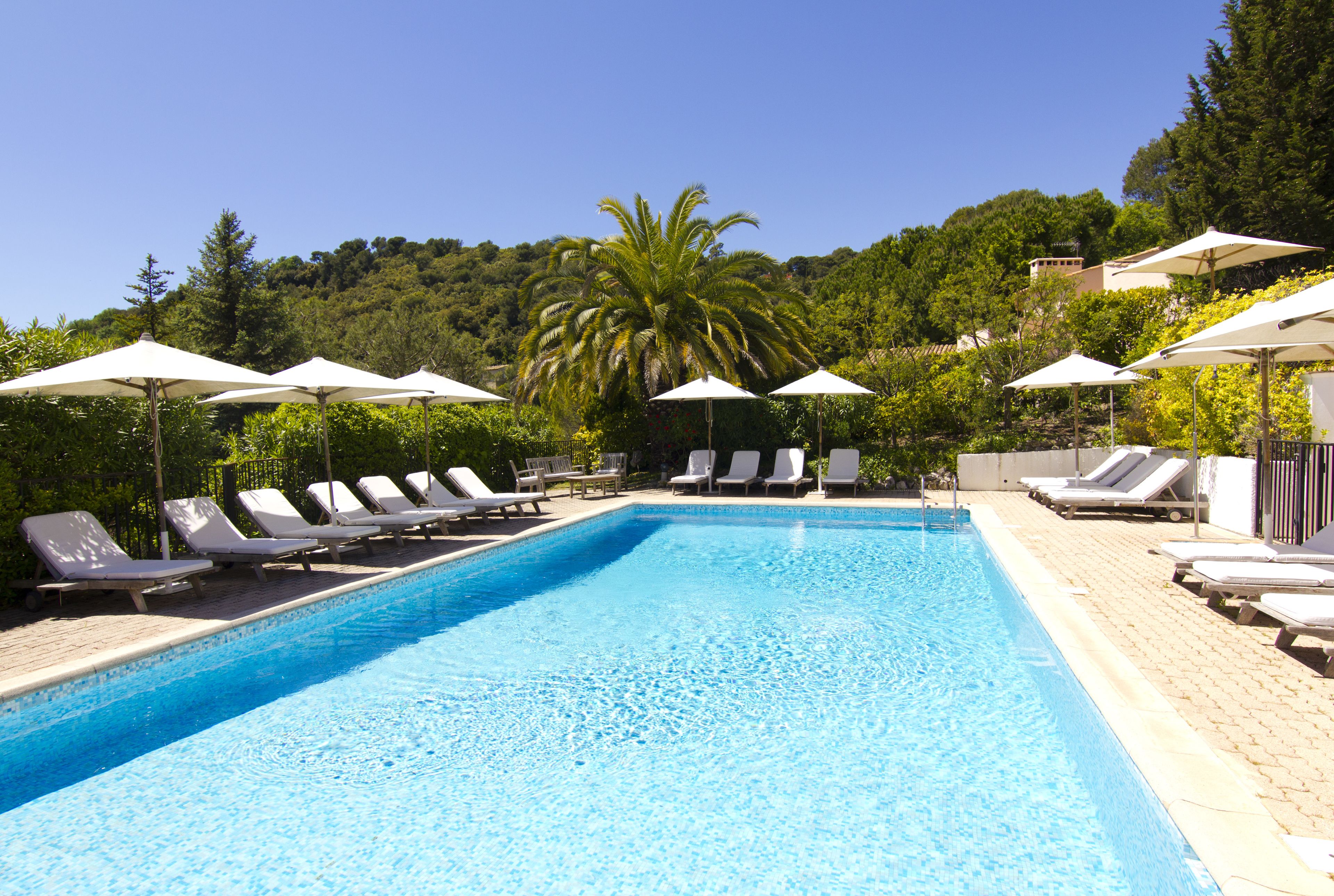 A swimming pool with lounge chairs and umbrellas, surrounded by greenery and trees.