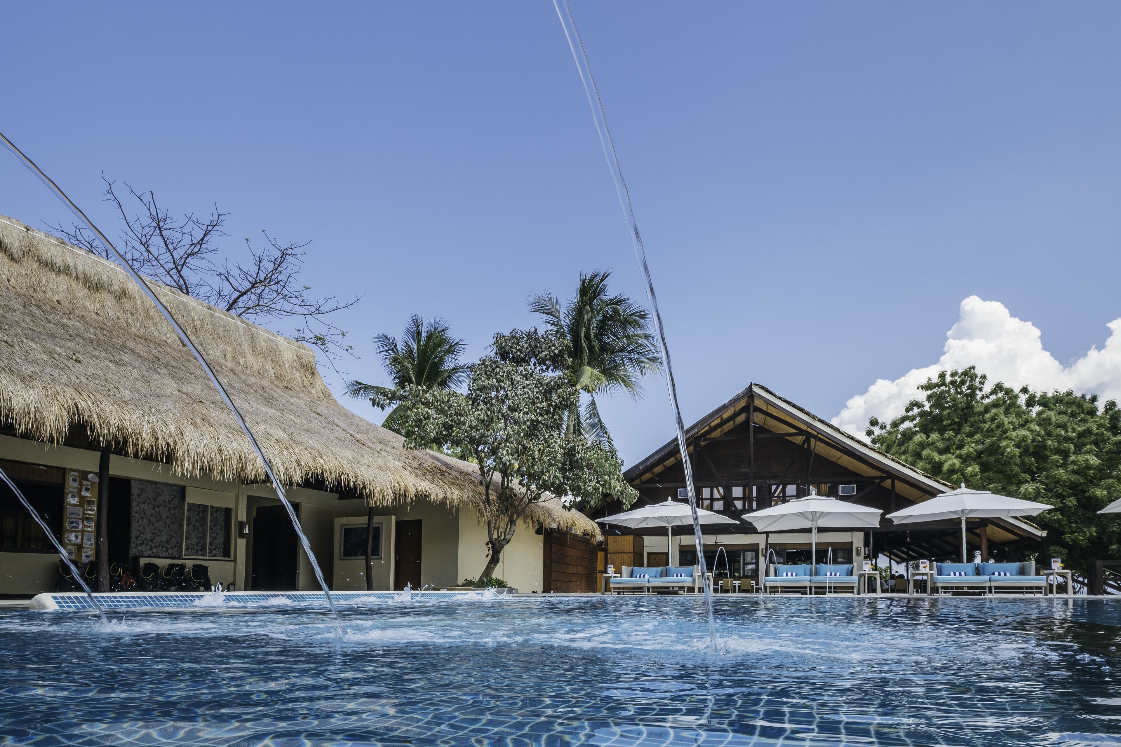 A pool area with a thatched-roof building, lounge chairs, and umbrellas.