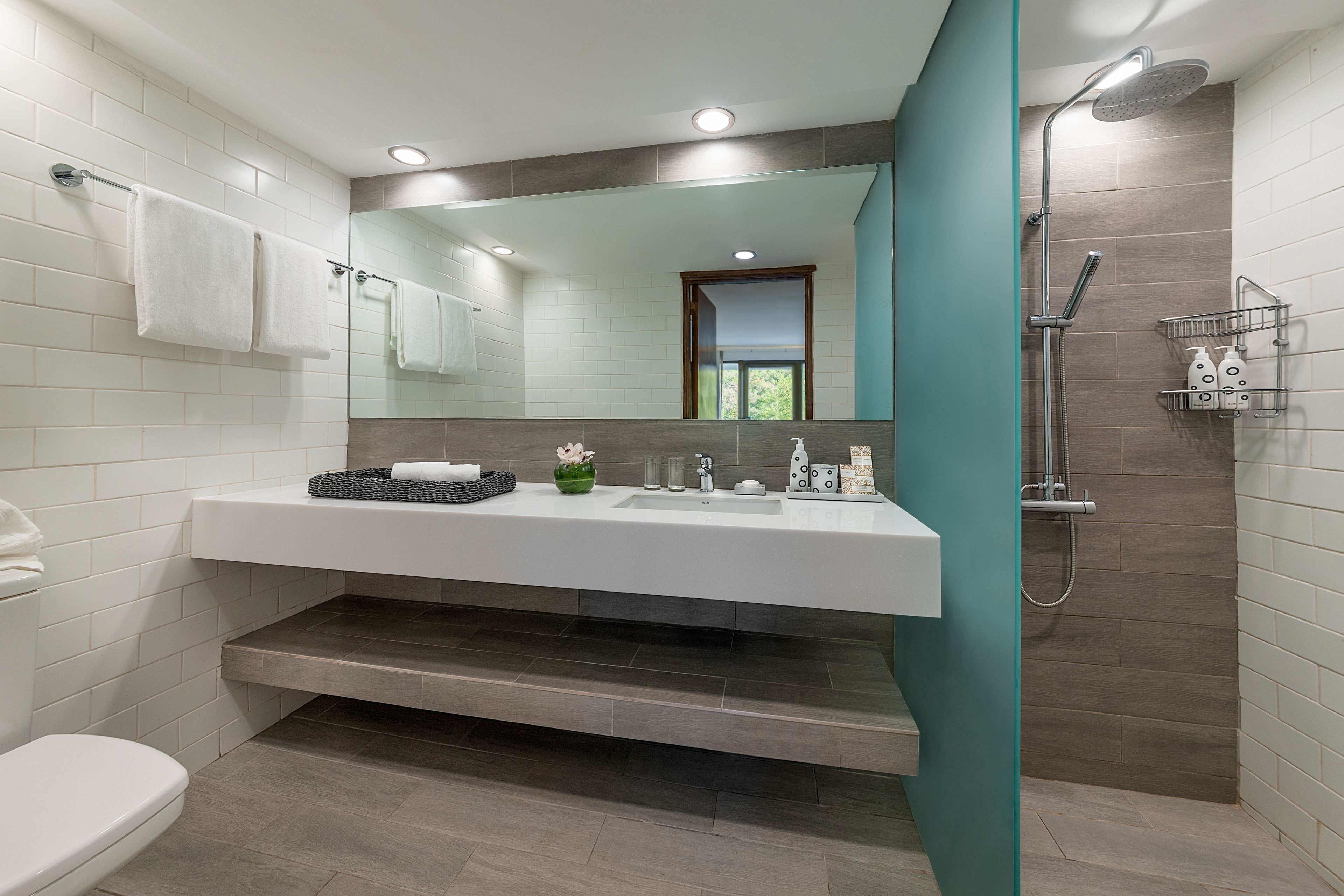 shower, free toiletries, hair dryer, slippers