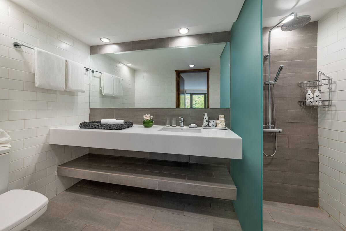 shower, free toiletries, hair dryer, slippers