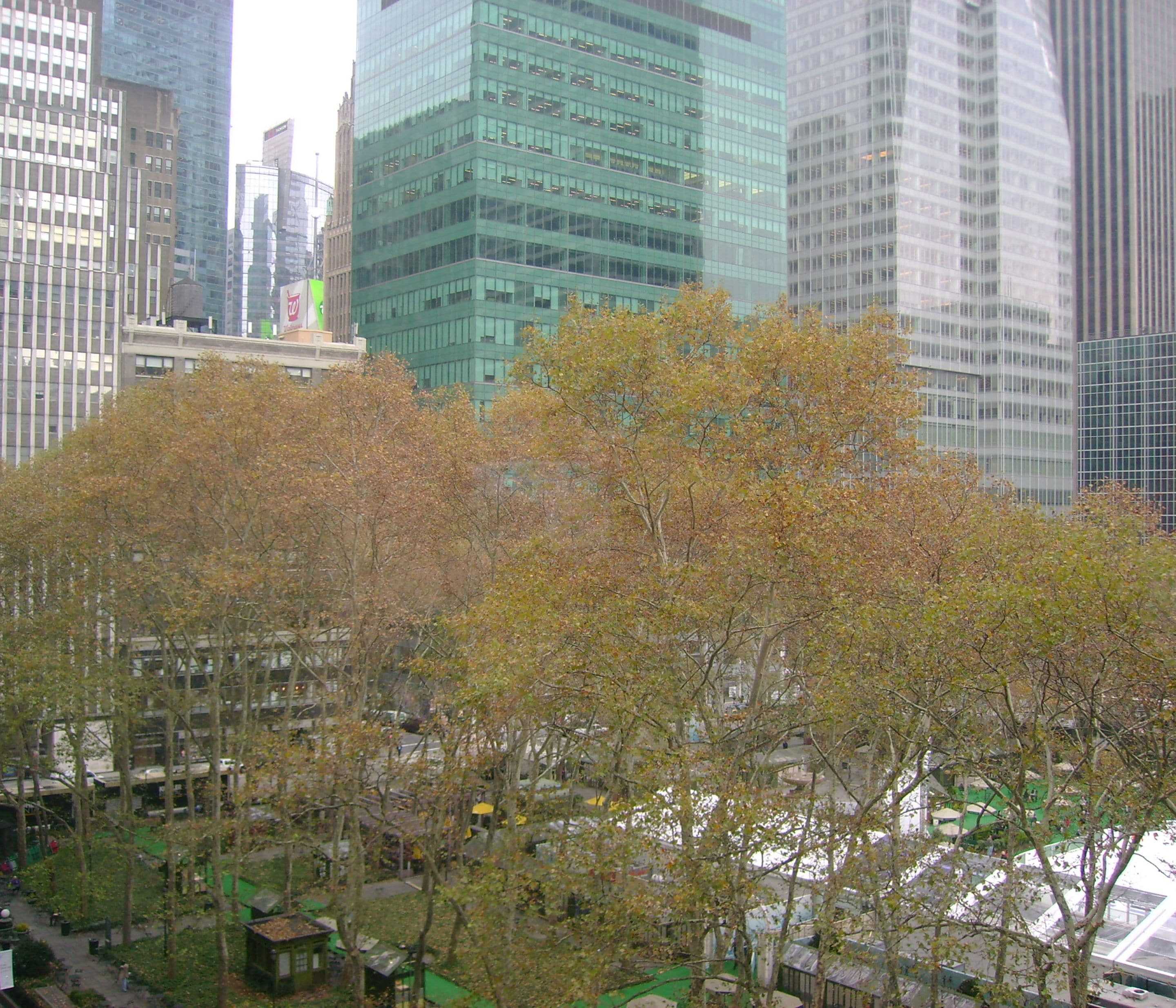 Un paysage urbain avec des immeubles modernes de grande hauteur et un espace vert arboré.