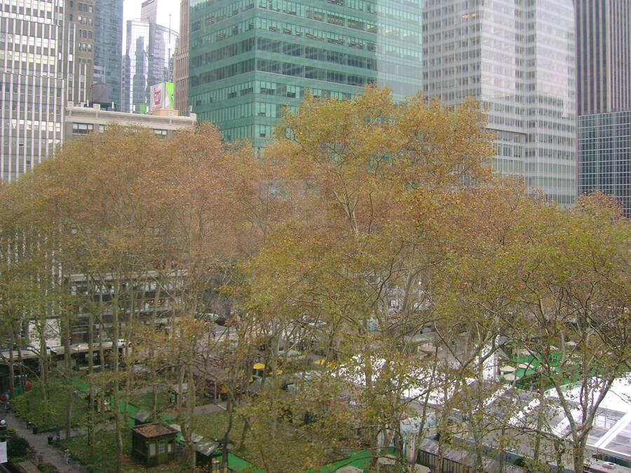 Un paysage urbain avec des immeubles modernes de grande hauteur et un espace vert arboré.