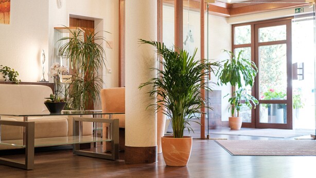 A modern lobby with a sofa, glass coffee table, and potted plants. - Hotel Flora Stuttgart - Möhringen (Stuttgart)