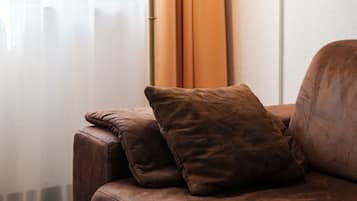 Tripla Comfort, 1 letto matrimoniale con divano letto | Minibar, una scrivania, postazione laptop, tende oscuranti