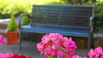 Un banco en un jardín con flores rosadas al frente.