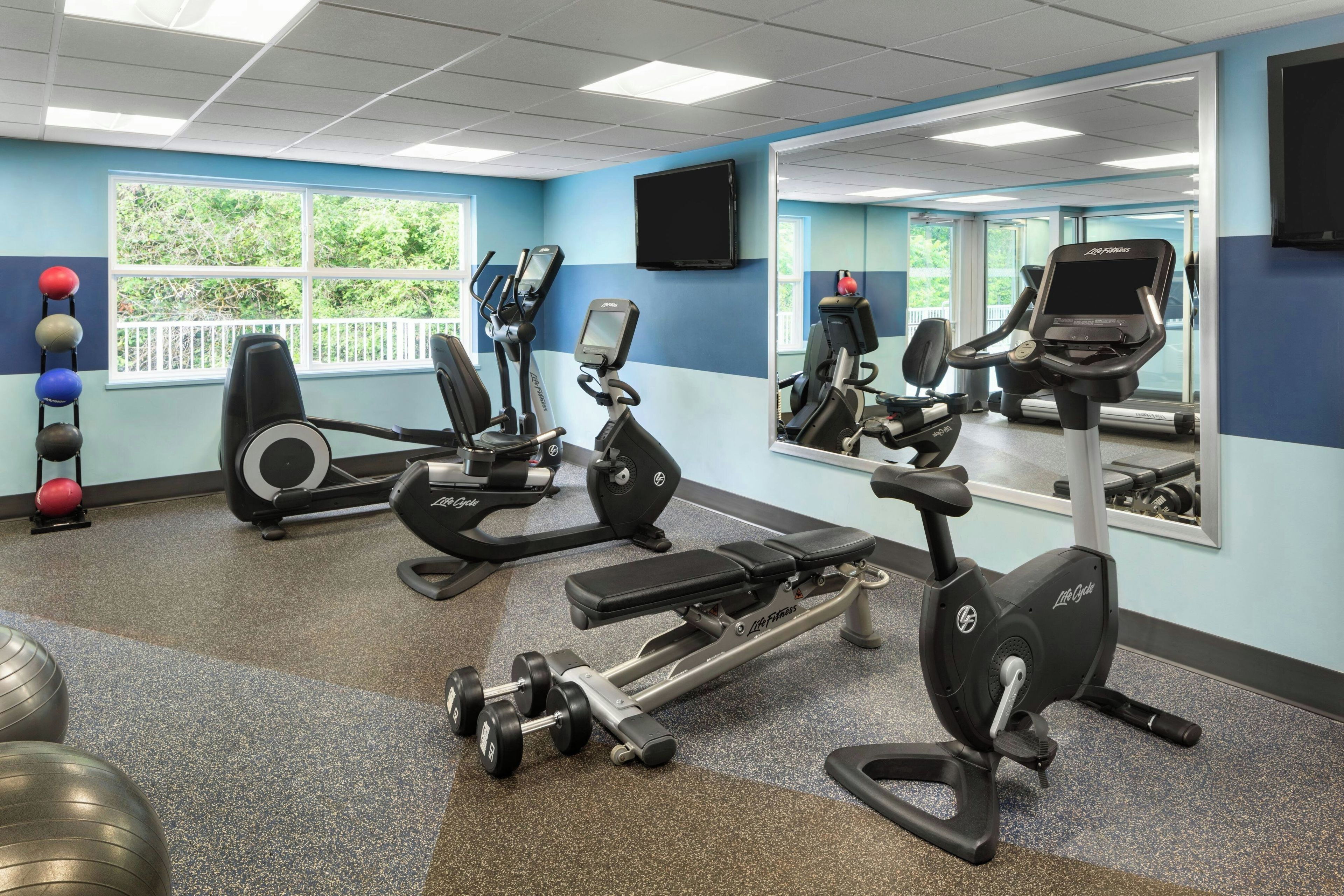 Un gimnasio con máquinas de cardio, mancuernas y pelotas de ejercicio.