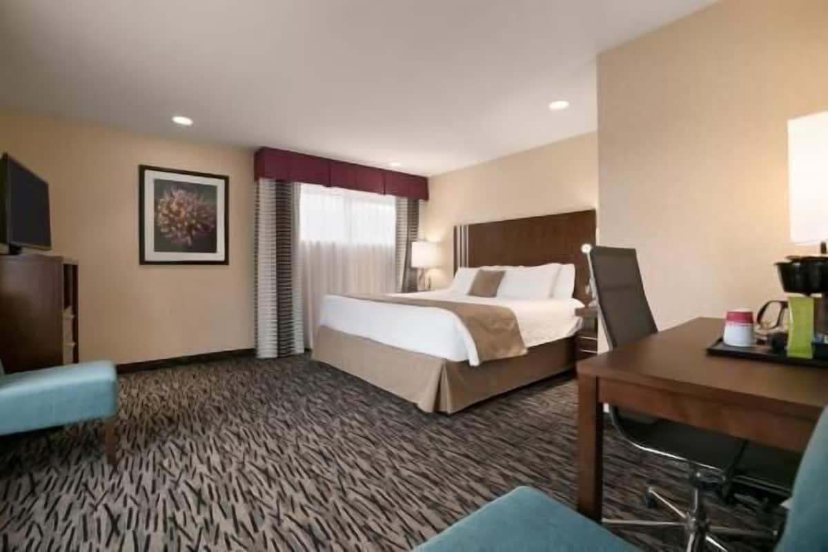A hotel room with a bed, a desk, a chair, a TV, and a framed picture on the wall.