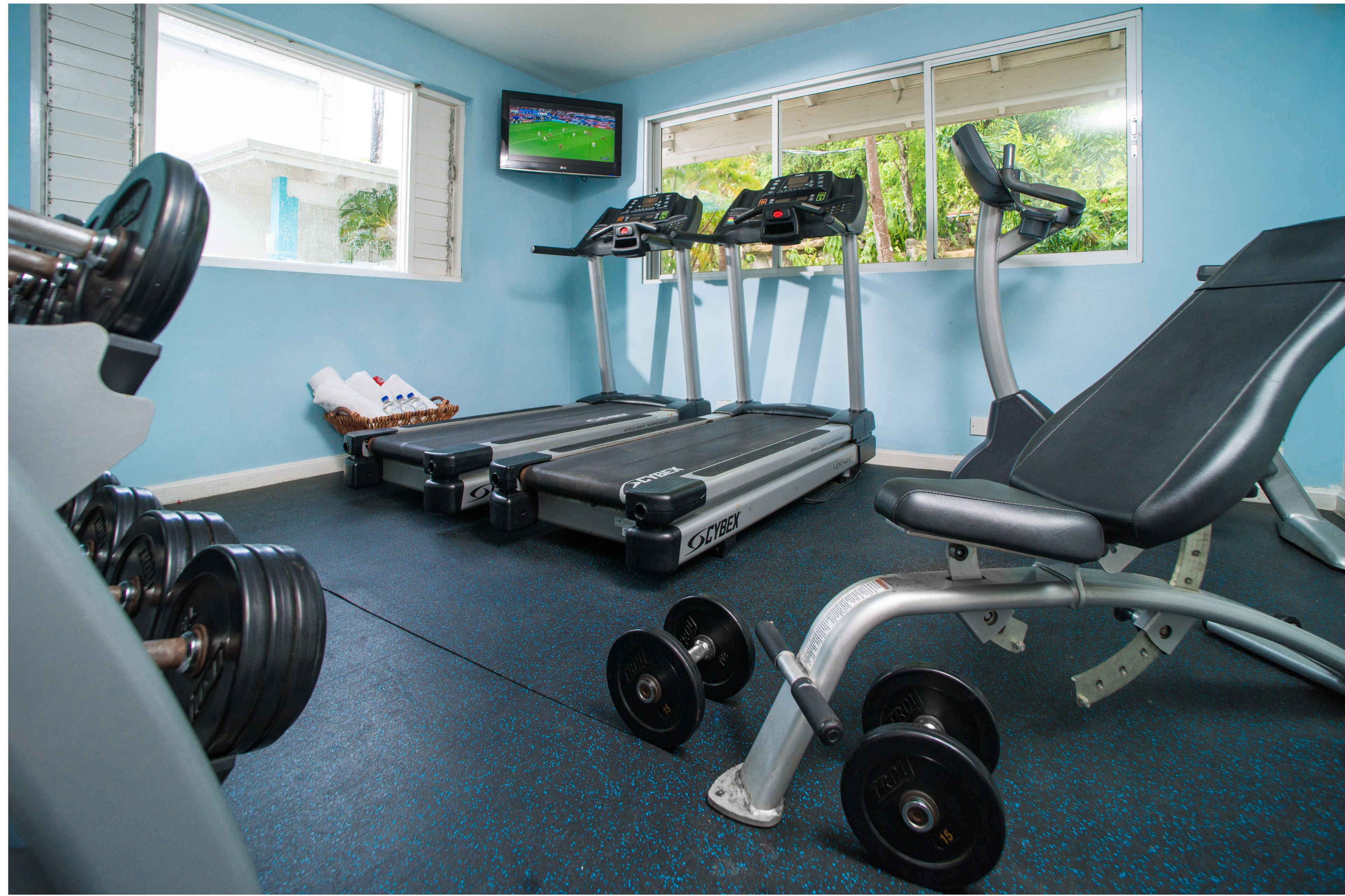 A gym with treadmills, a bench, and dumbbells.