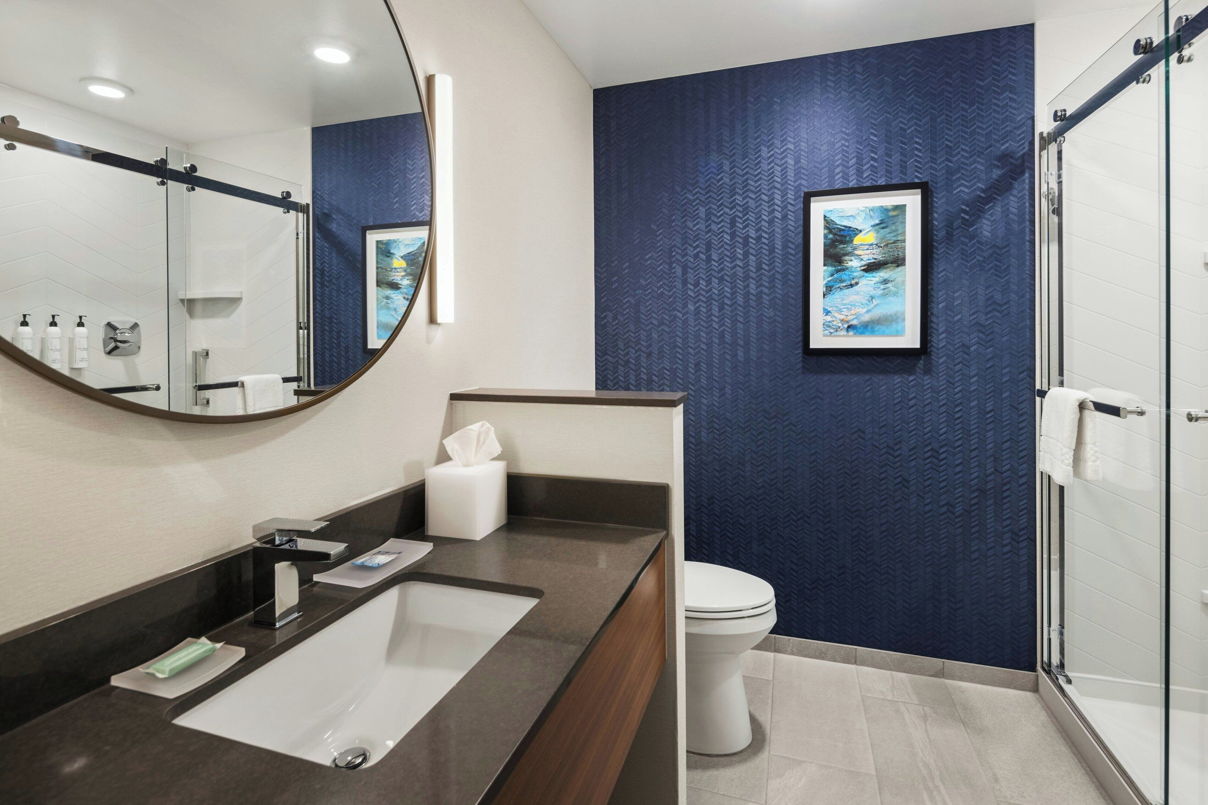 A modern bathroom with a dark blue wall, a white toilet, a large mirror, and a shower area.
