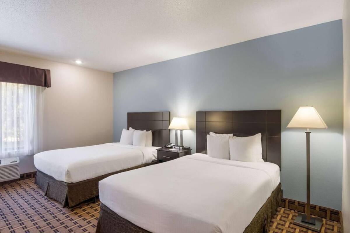 A hotel room with two beds, a nightstand with a lamp, a window with curtains, and a patterned carpet.