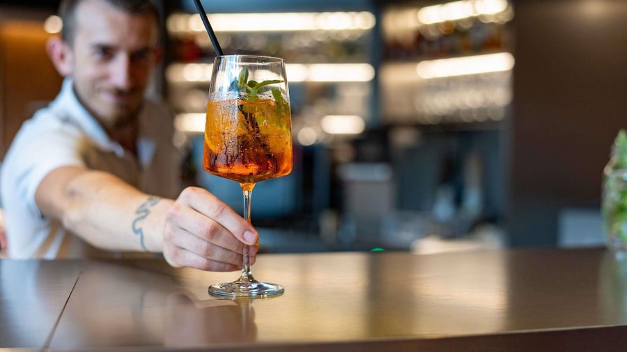 苏黎世市西诺富特酒店