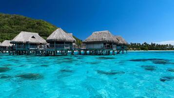 1 bedroom, premium bedding, pillow-top beds, free minibar