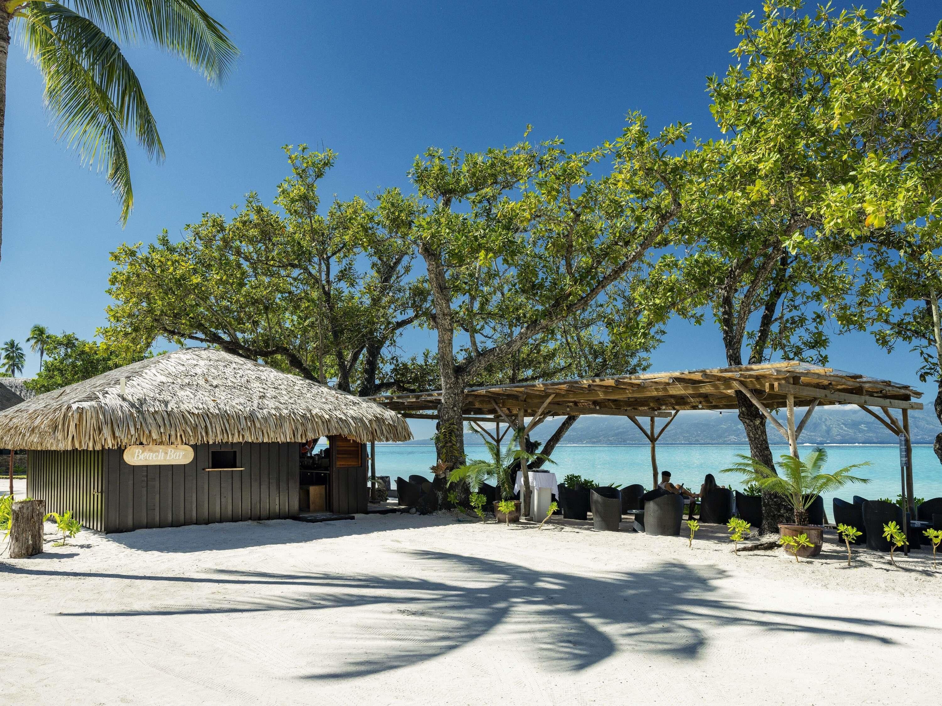 A beach bar with a thatched roof, surrounded by trees and overlooking the sea.