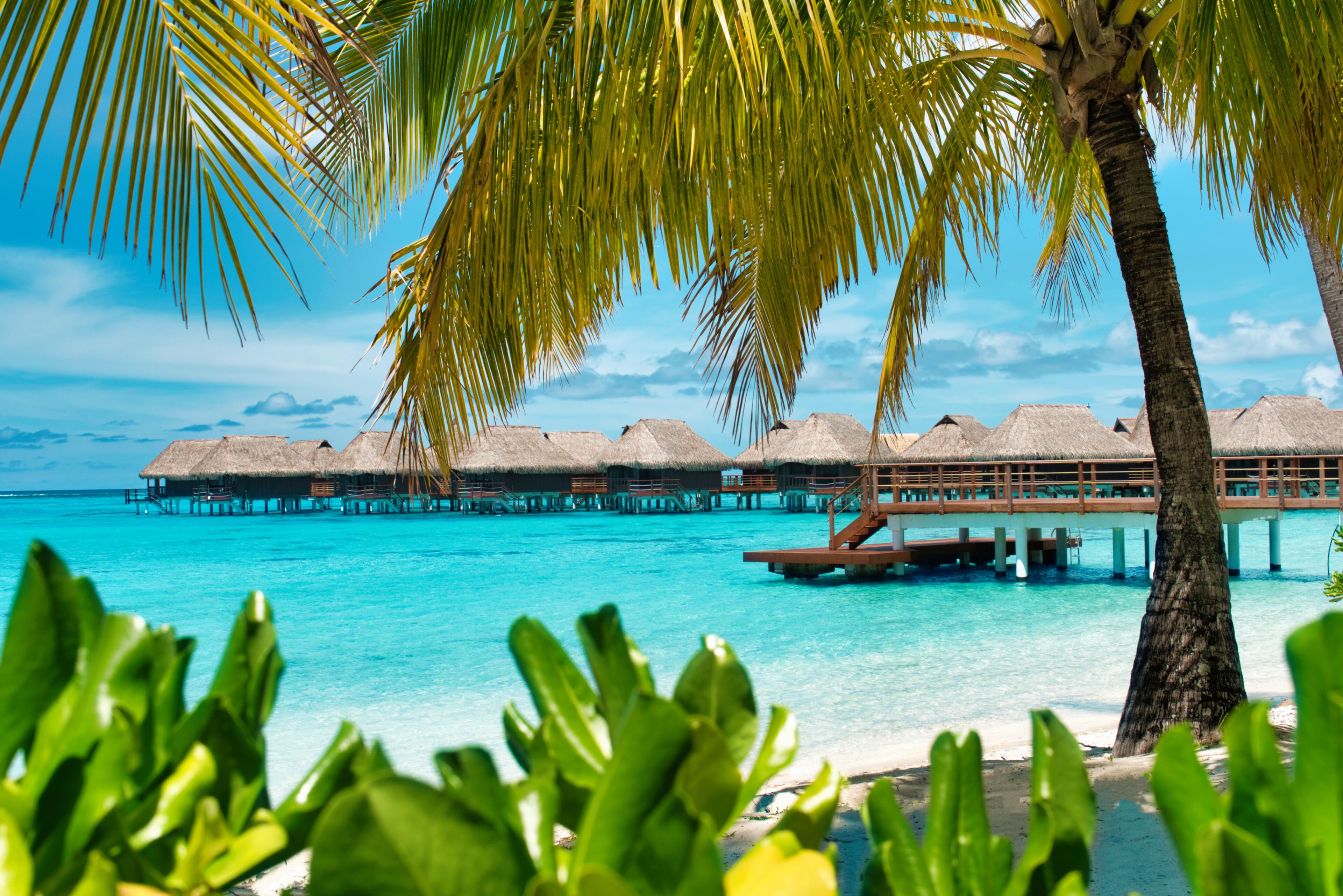 Premium bedding, pillowtop beds, free minibar, in-room safe