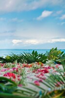 Un jardín tropical con vistas al océano.