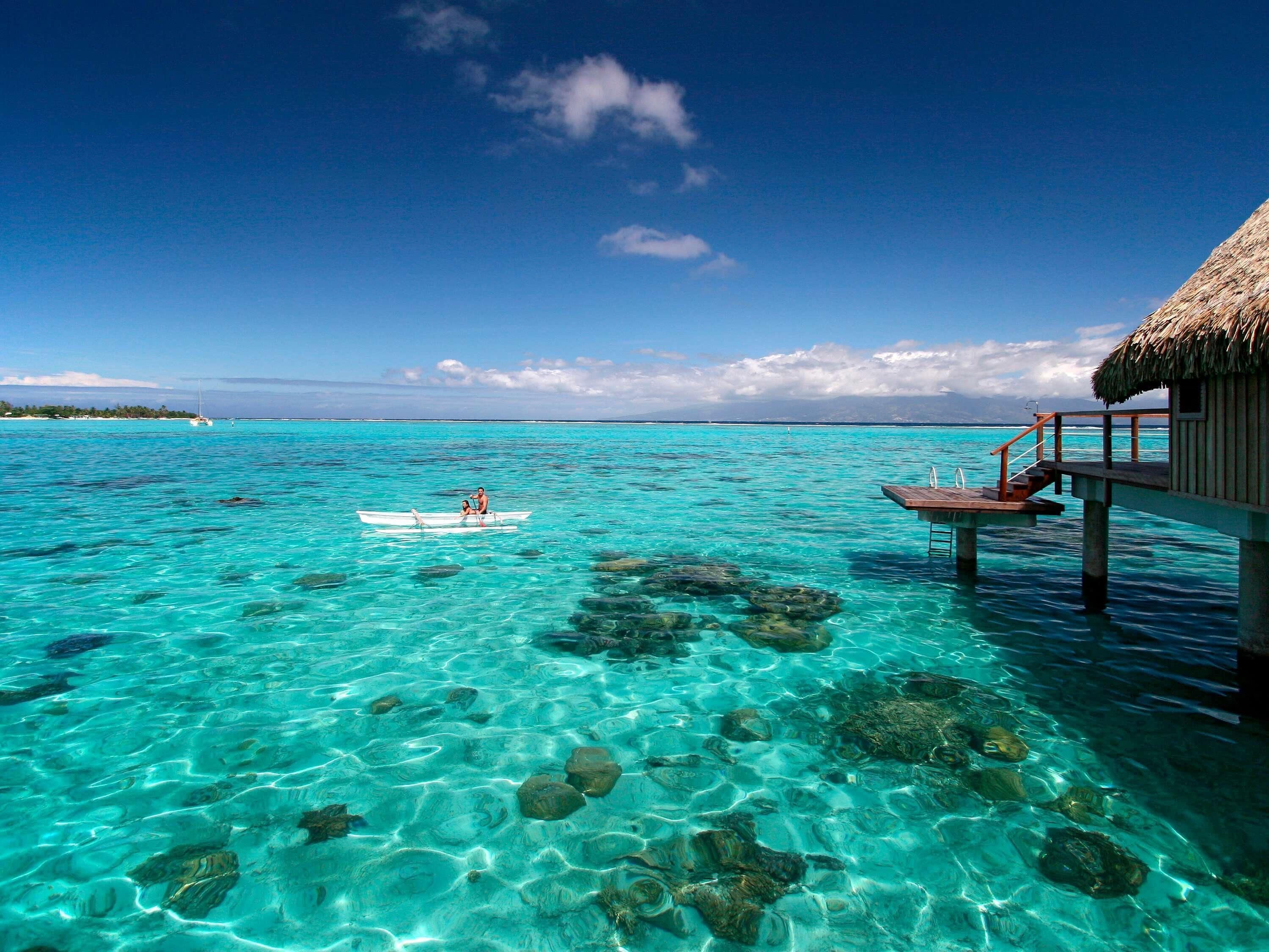 Premium bedding, pillow-top beds, free minibar, in-room safe