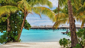 Una playa con palmeras, aguas turquesas cristalinas y bungalós sobre el agua.