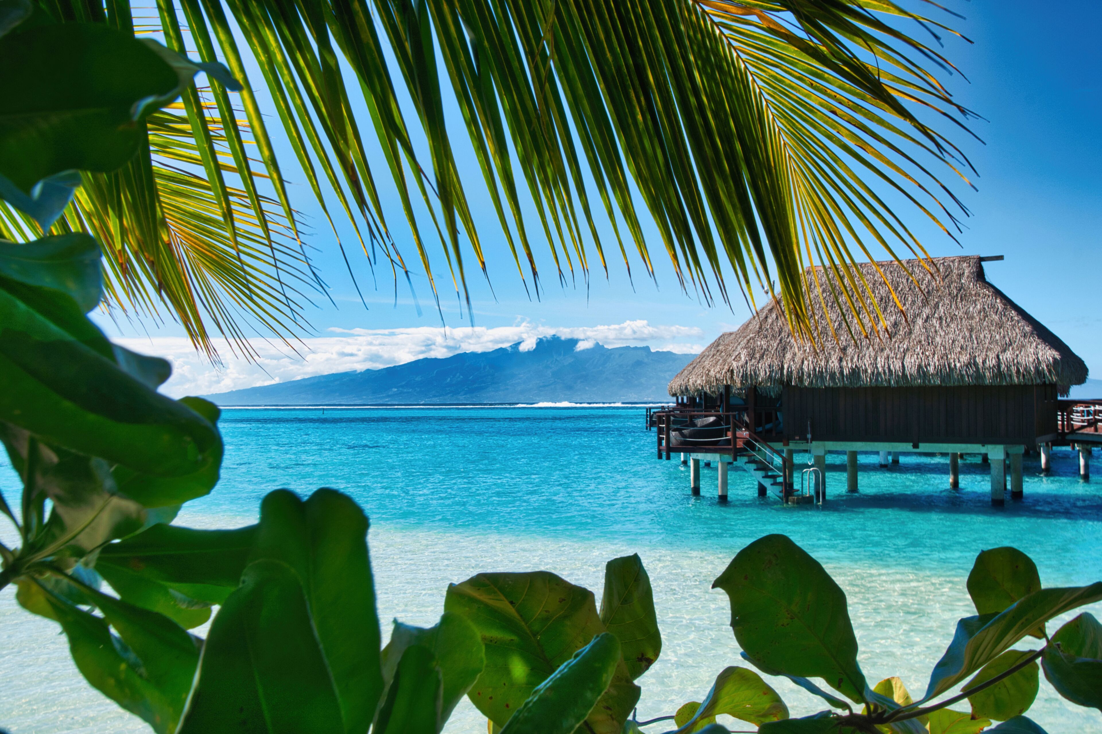 A thatched-roof overwater bungalow with a clear view of the ocean and distant mountains.