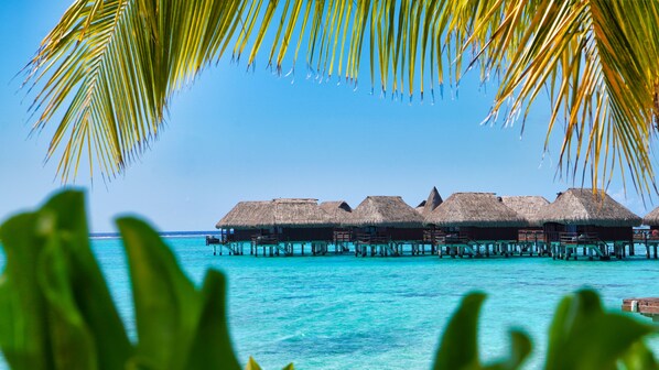 Douche, douche cascade, articles de toilette griffés, séchoir à cheveux