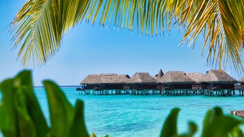 Dusj, regndusjhode, designertoalettartikler og hårføner