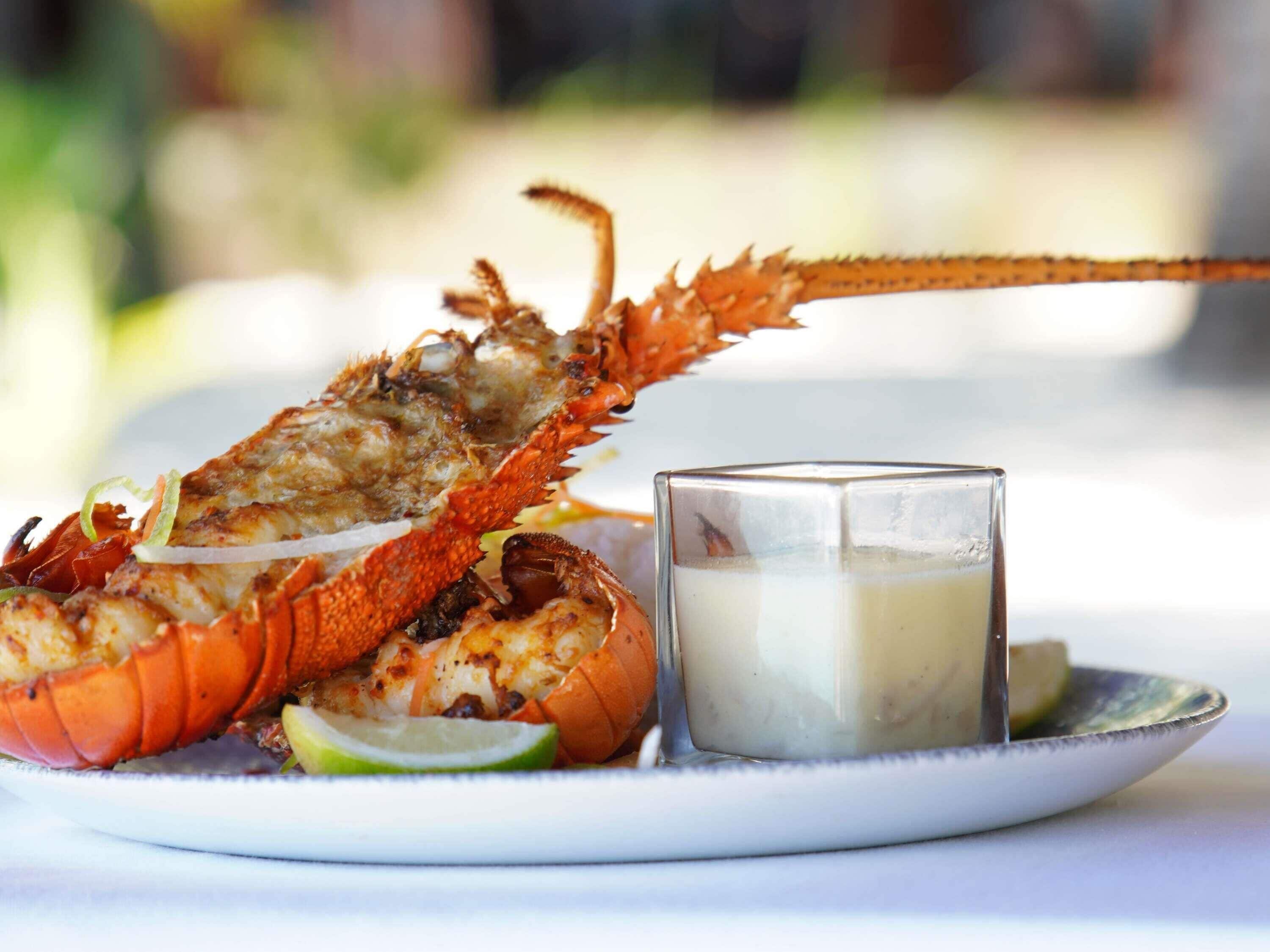 Un bogavante sobre un plato con un vaso de bebida blanca y gajos de lima.