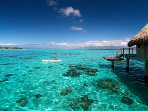 Habitación de lujo, 1 cama de matrimonio grande, sobre el agua | 1 dormitorio y ropa de cama de alta calidad
