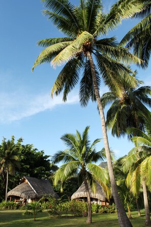 1 bedroom, premium bedding, pillow-top beds, free minibar