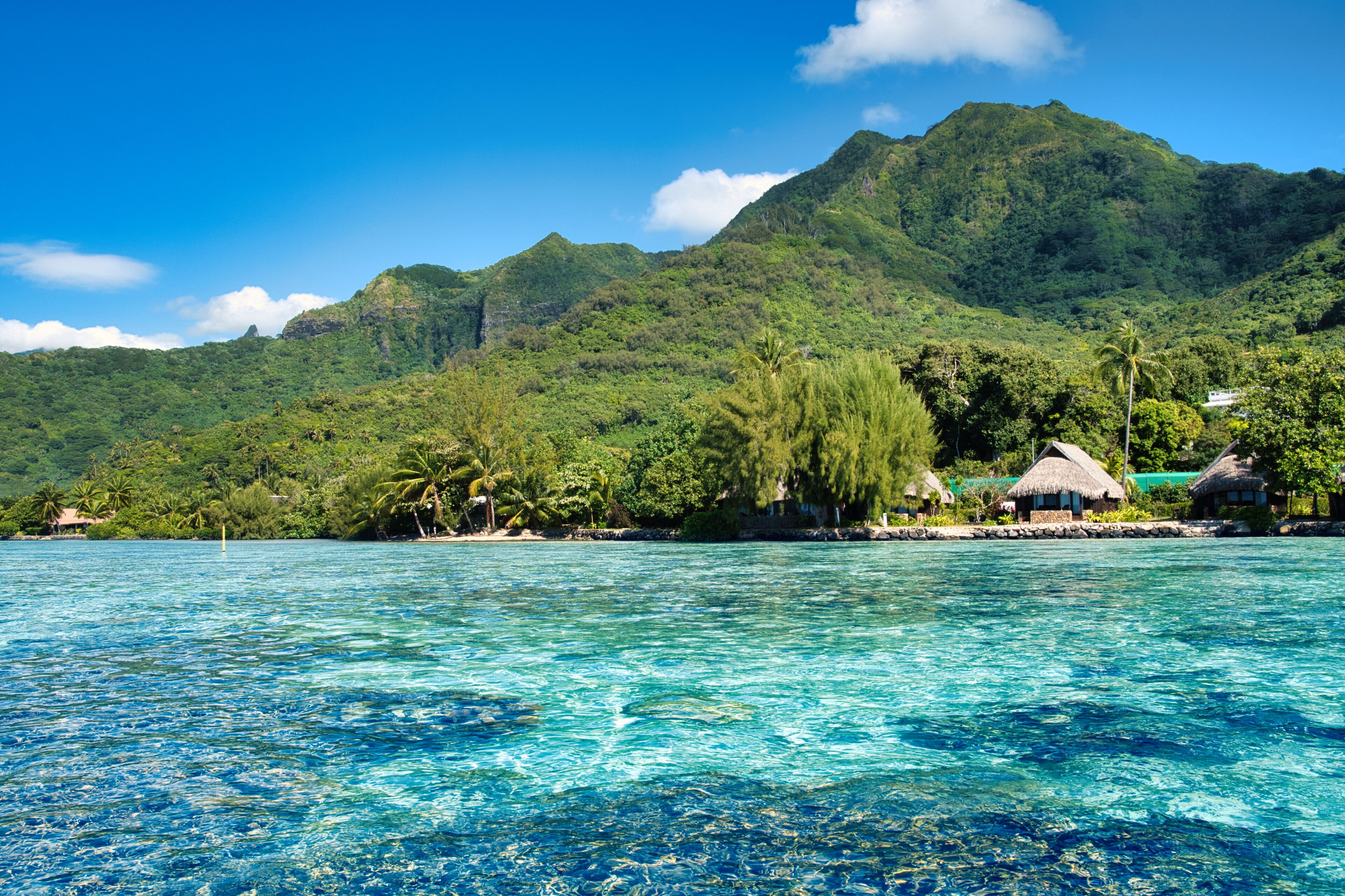 A tropical beach with clear turquoise water, lush green hills, and thatched-roof huts.