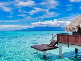 Premium bedding, pillow-top beds, free minibar, in-room safe