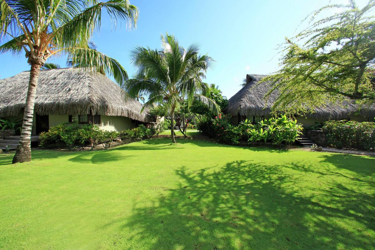 A tropical resort with thatched-roof huts, a well-maintained lawn, and lush greenery.