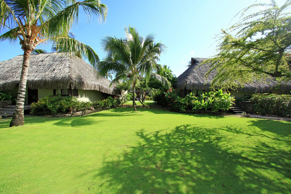 A tropical resort with thatched-roof huts, a well-maintained lawn, and lush greenery.