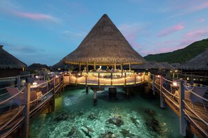 2 bares, bar junto a la piscina, bar en la playa