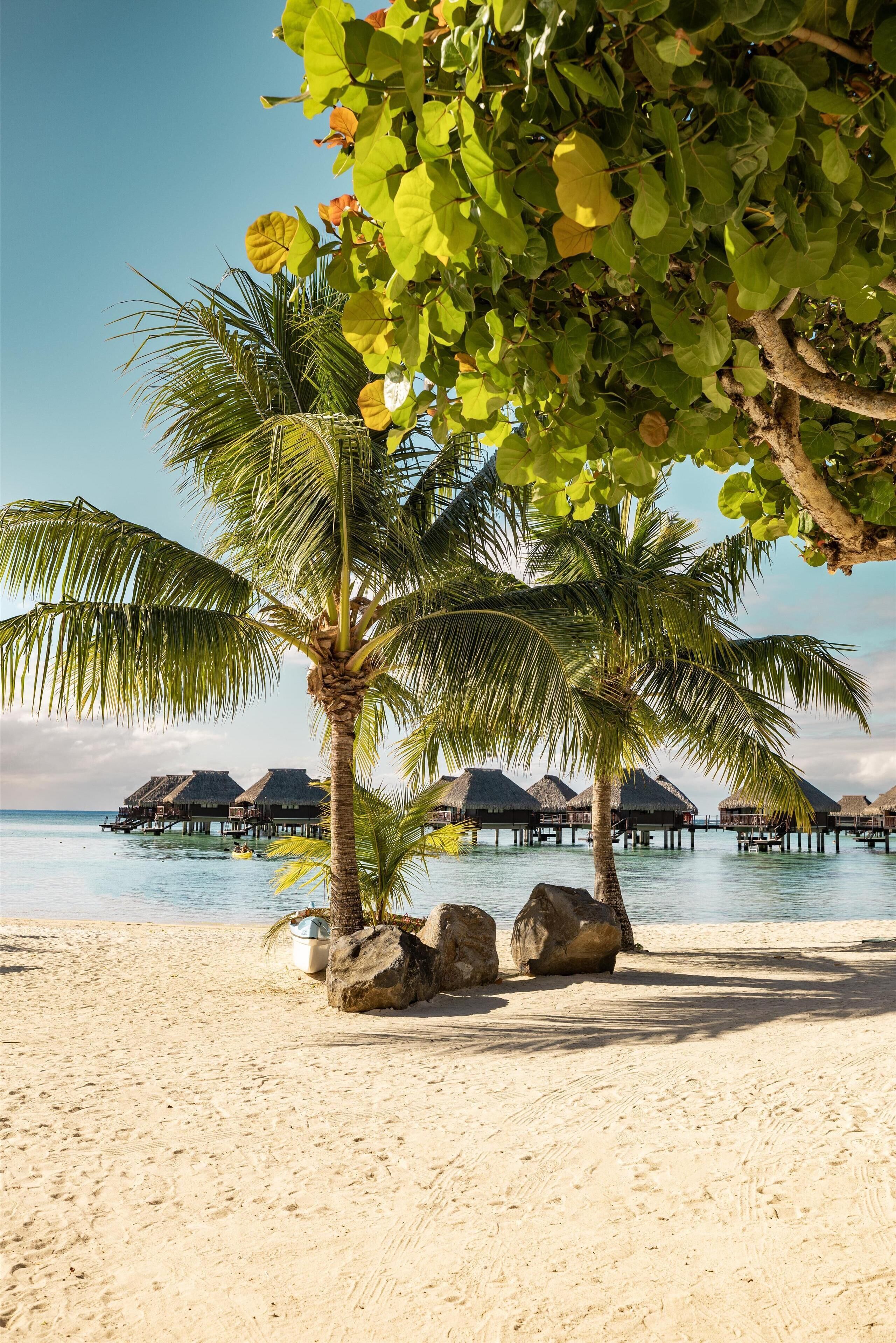 Privatstrand, Liegestühle, Sonnenschirme, Strandtücher