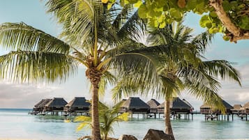 Privatstrand, Liegestühle, Sonnenschirme, Strandtücher