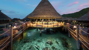 2 barer/lounger, bassengbar og strandbar
