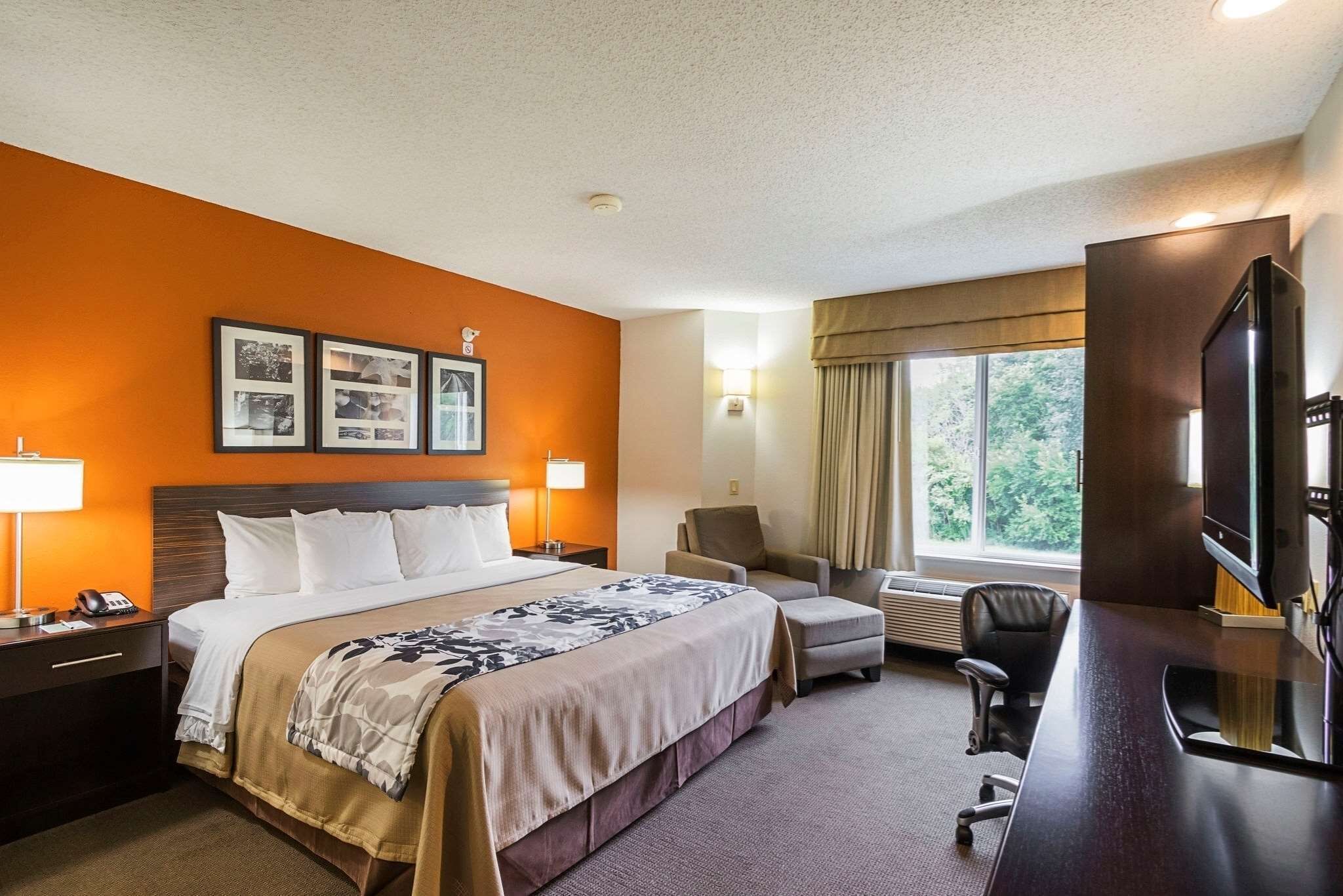 standard room | premium bedding, pillow-top beds, individually furnished, desk
