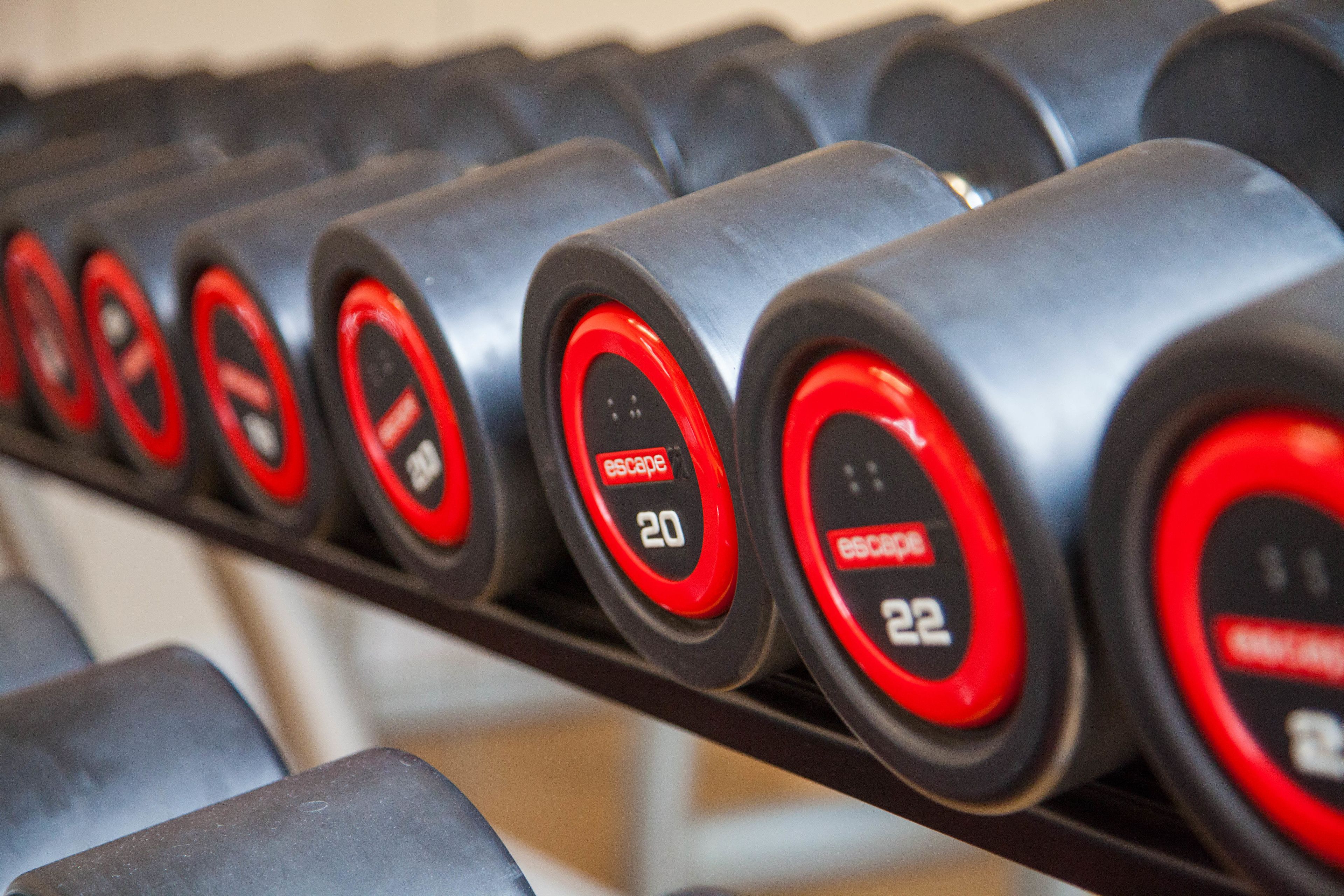A row of dumbbells with red and black weight markers, indicating different weights.