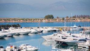 Un puerto deportivo con varios yates amarrados.