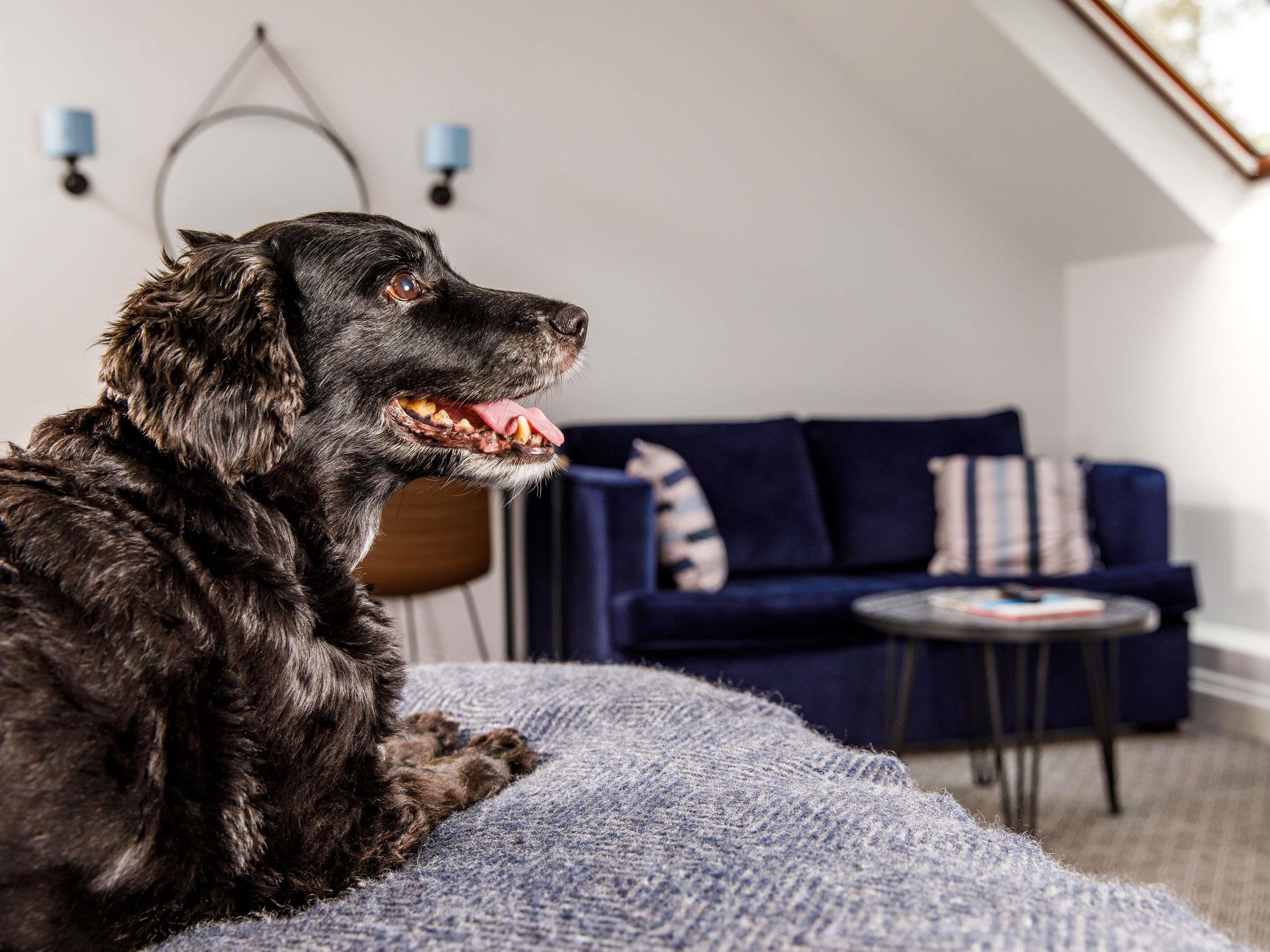 Photo - Mercure Oxford Hawkwell House Hotel