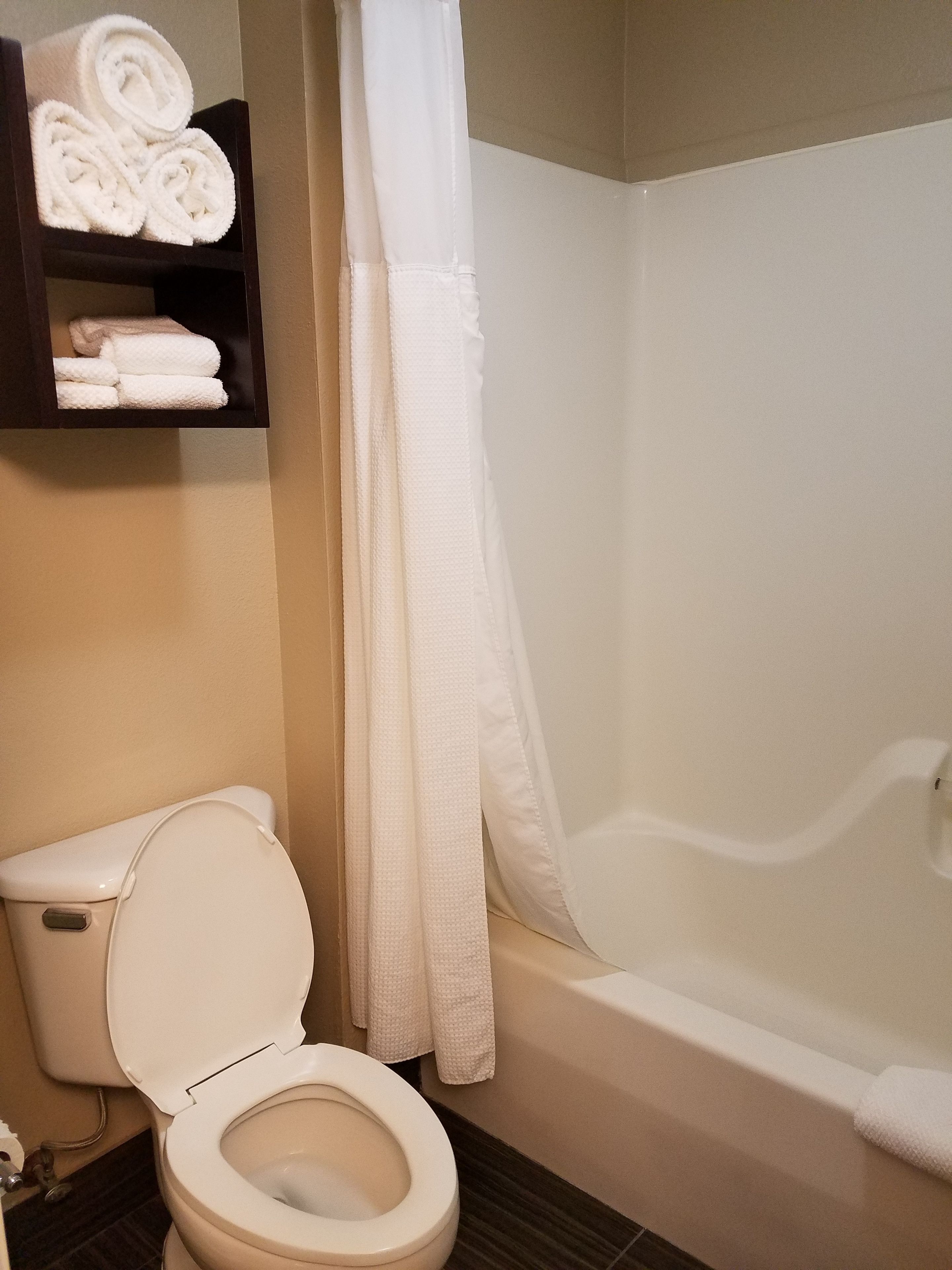 combined shower/bathtub, free toiletries, hair dryer, towels