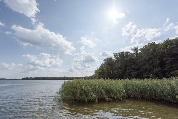 Lac