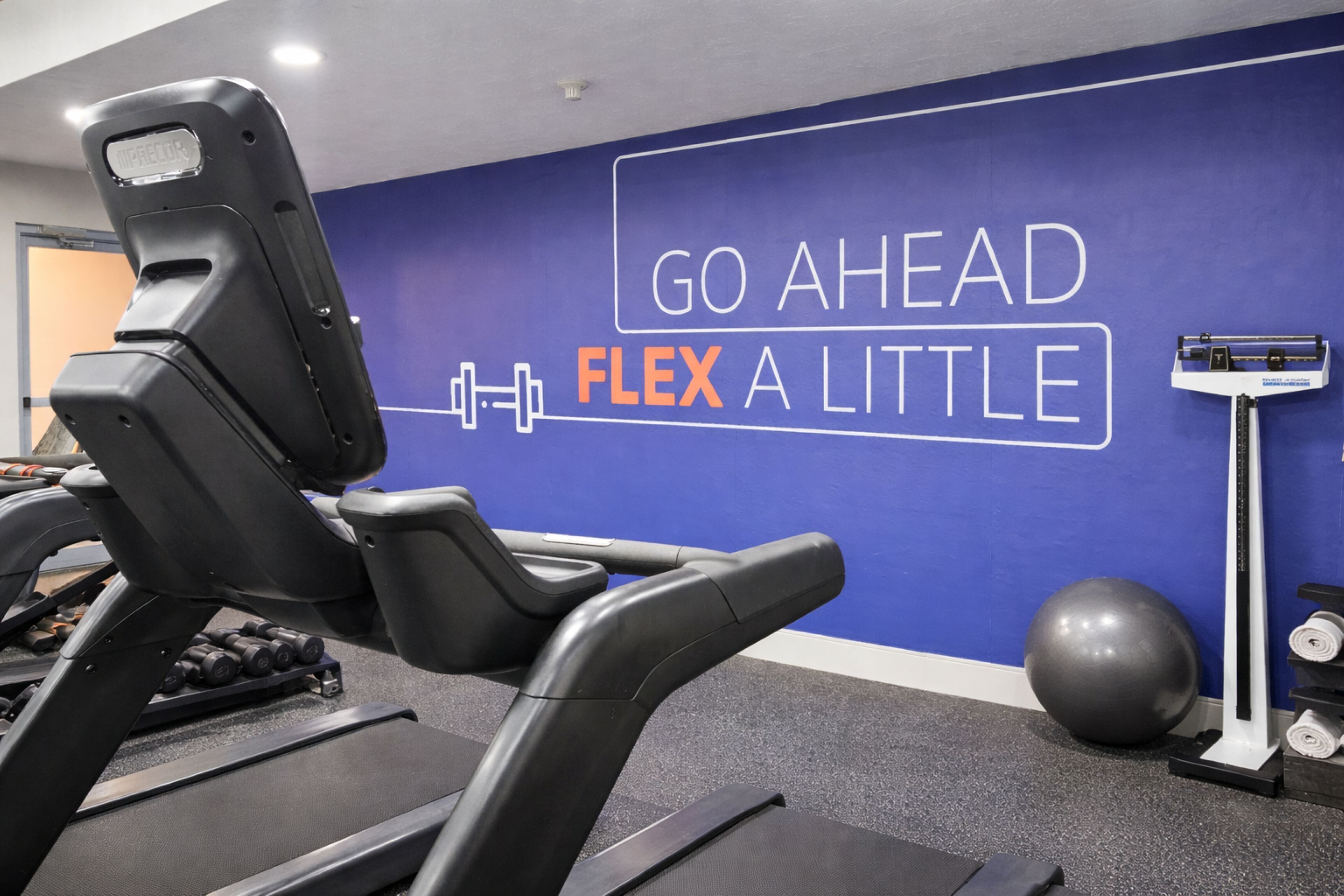 A gym with a treadmill, dumbbells, a medicine ball, and a wall with motivational text.