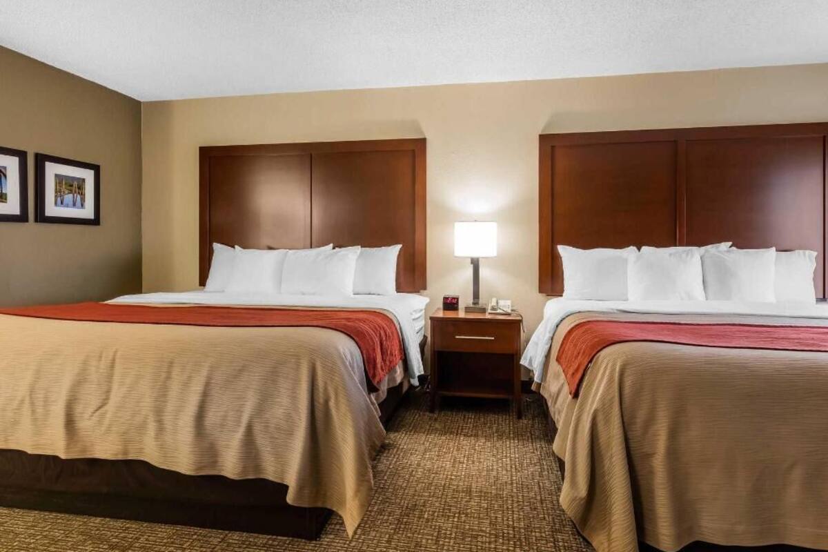 A hotel room with two beds, a nightstand with a lamp, and a carpeted floor.