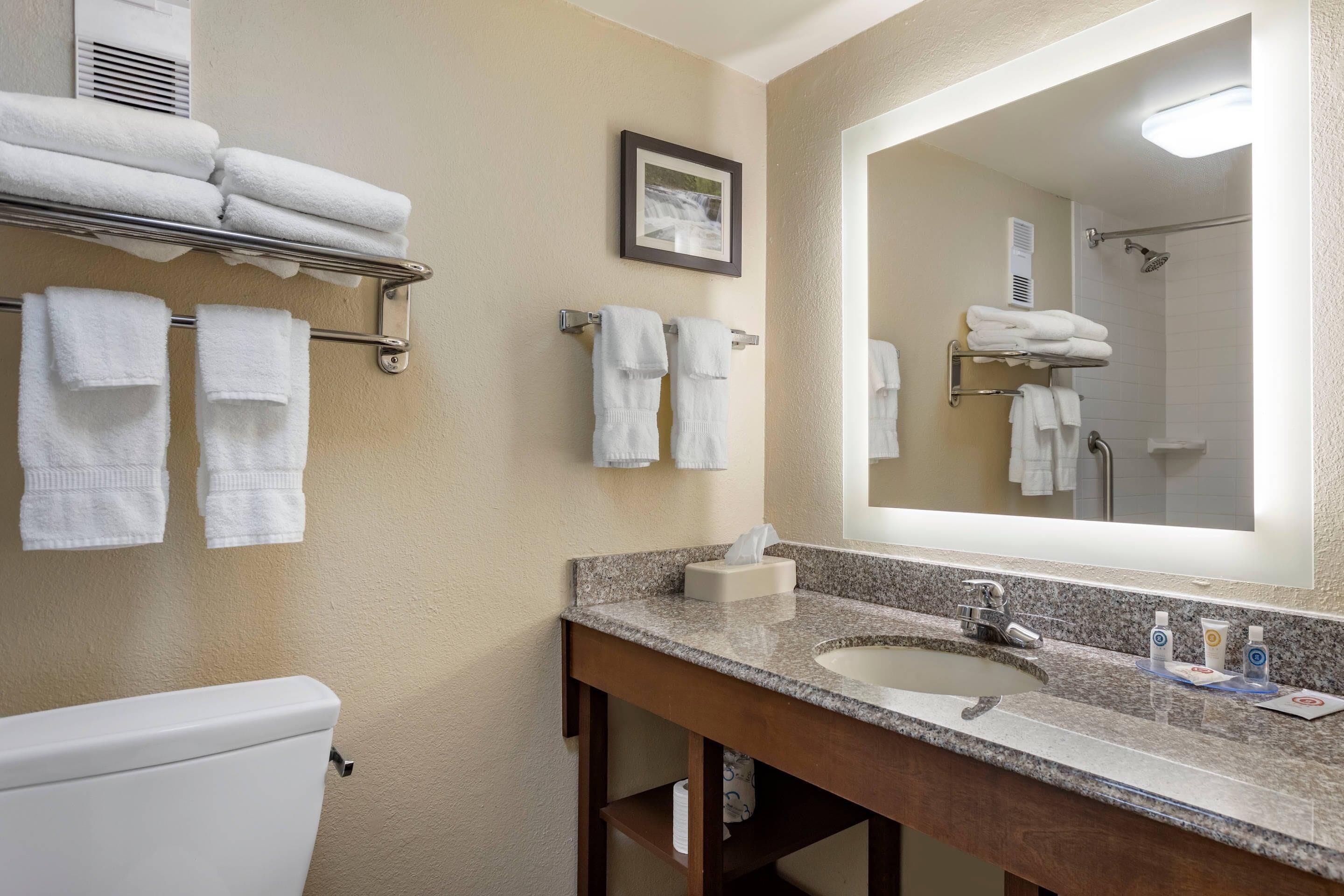 Suite, 1 King Bed, Non Smoking | Premium bedding, desk, laptop workspace, blackout drapes