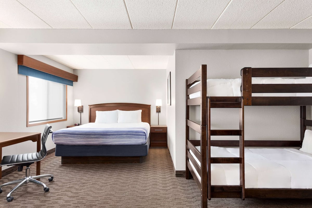 A hotel room with a single bed, a desk with a chair, a bunk bed, and a window with blinds.