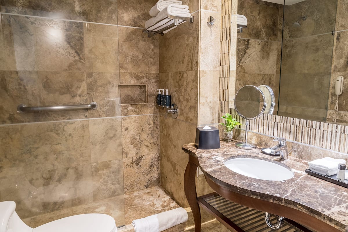 Shower, hair dryer, towels