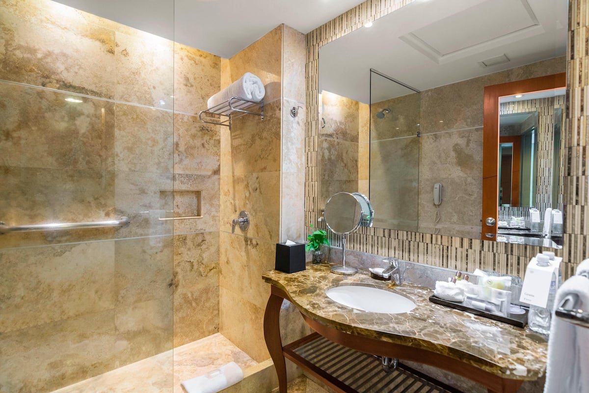 Shower, hair dryer, towels