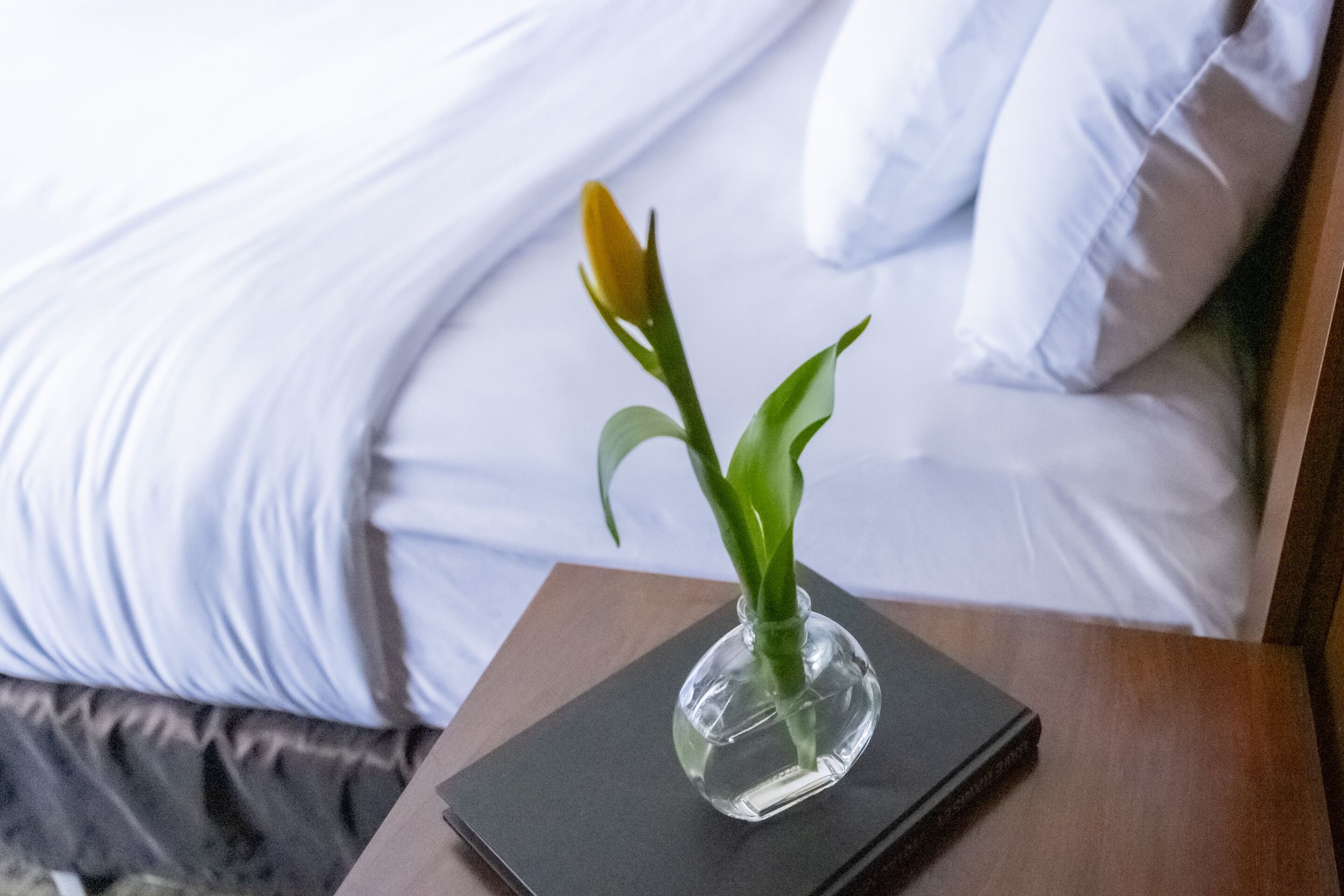 executive suite | 1 bedroom, desk, blackout curtains, iron/ironing board