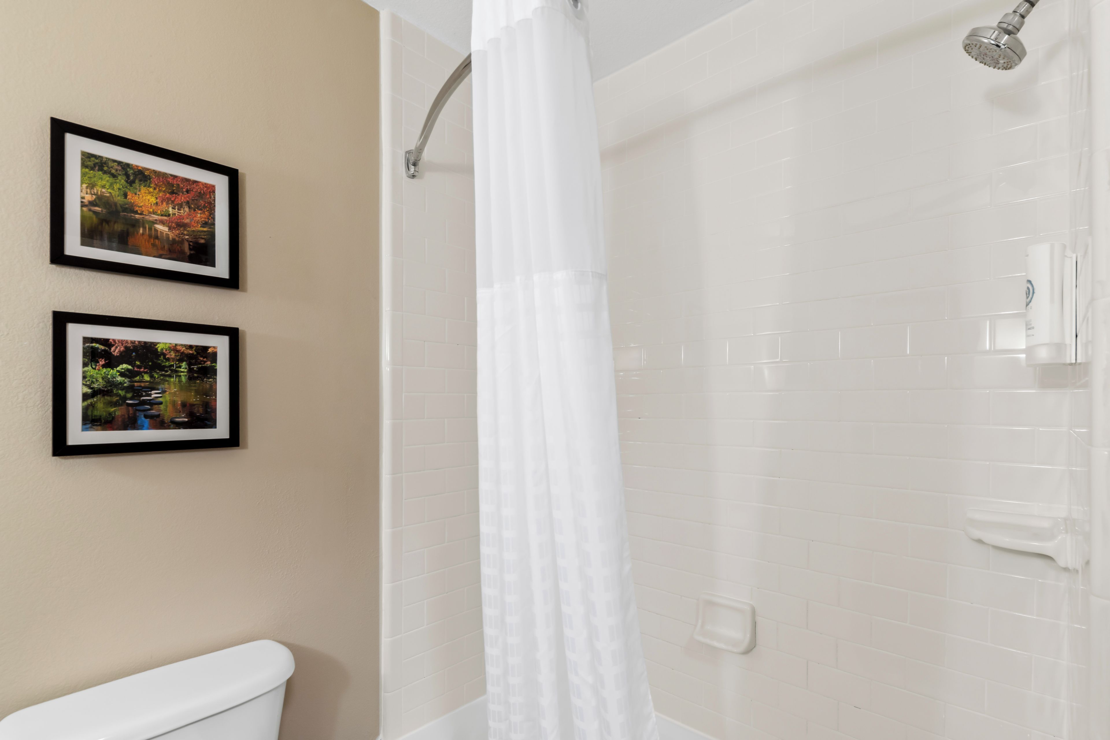 A bathroom with a shower, toilet, and two framed pictures on the wall.