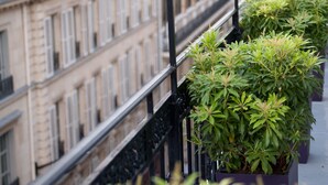 A balcony with potted plants and a view of a building with arched windows and a brick facade. - Hôtel Le Monna Lisa by Inwood Hotels (Paris)